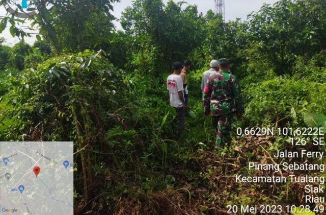 IMG-20230520-WA0006_copy_800x526