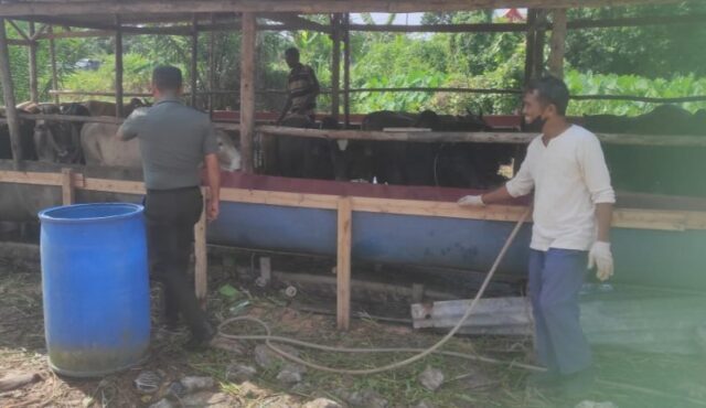 IMG-20230613-WA0007_copy_800x462