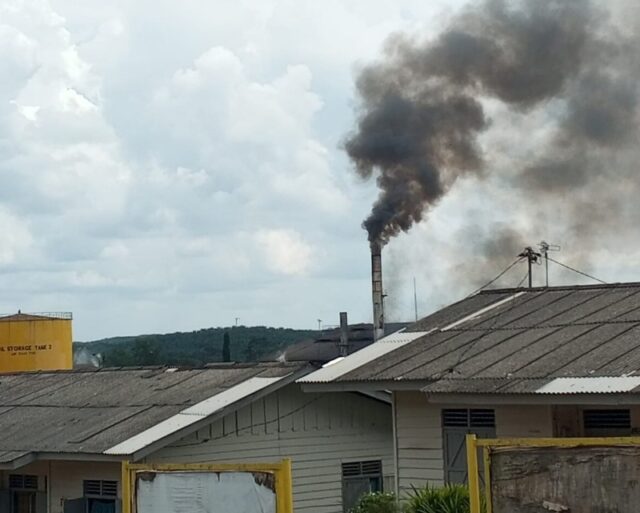 IMG-20231125-WA0009_copy_800x641