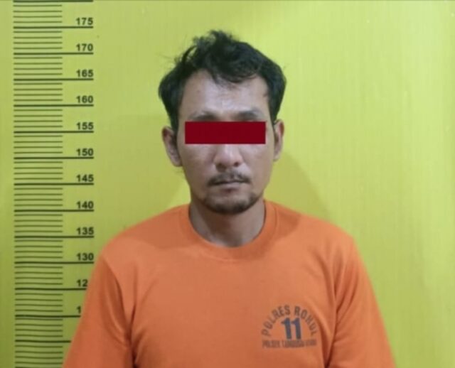 IMG_20240326_112219_copy_800x648