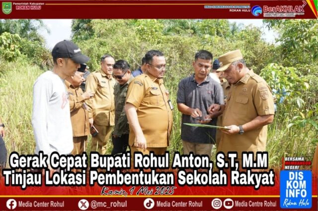 IMG-20250502-WA0000_copy_800x533