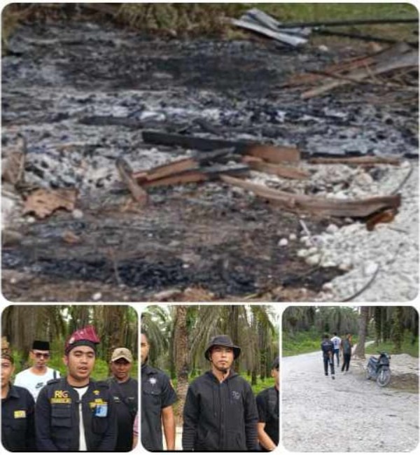 IMG-20260217-WA0000_copy_600x650